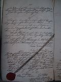 TN_137-3766_IMG.jpg 6.3K